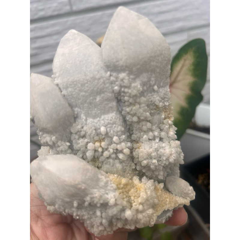 原礦石白色讓藏內蒙蠟燭水晶簇🦔消磁內蒙水晶刺蝟刺刺大水晶