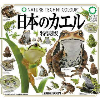 『現貨』NTC圖鑑-日本蛙 特裝版 IKIMON 扭蛋 轉蛋 【蛋樂寶】
