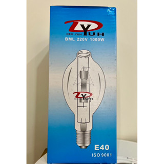 臺灣出貨 1000W 500W E40 水銀燈泡 220V 免用安定器