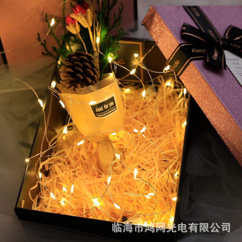 台灣發票 現貨出貨 燈串 熊貓購物 花束裝飾燈 螢火蟲燈串 氛圍燈 燈串批發 聖誕燈串 仙女燈 包裝燈