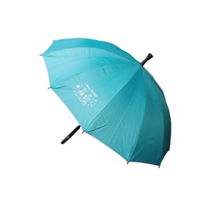 【現貨】兩用傘 雨傘 大傘面雨傘 耐用雨傘 安妮兔12K銀膠T型傘 自動傘 長雨傘 防曬傘 銀膠傘 興雲網購旗艦店