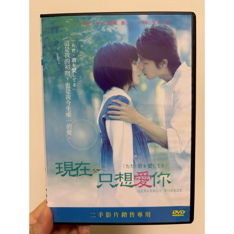 近全新，DVD，日本電影，現在只想愛你