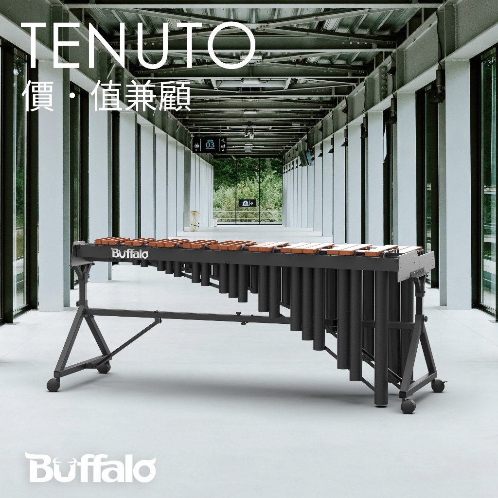 【Buffalo Music】BUFFALO TENUTO系列TX435PAC 4.3組52鍵/紅木/馬林巴木琴