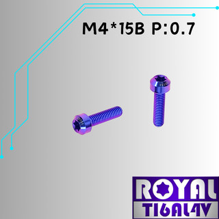 【瘋螺絲】ROYAL 鈦合金螺絲★ M4*15B P:0.7 錐形螺絲★64鈦/正鈦/鈦合金螺絲★出貨附發票★幻彩藍