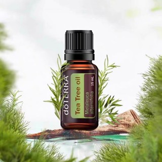dōTERRA 多特瑞正品公司貨 茶樹精油15ml