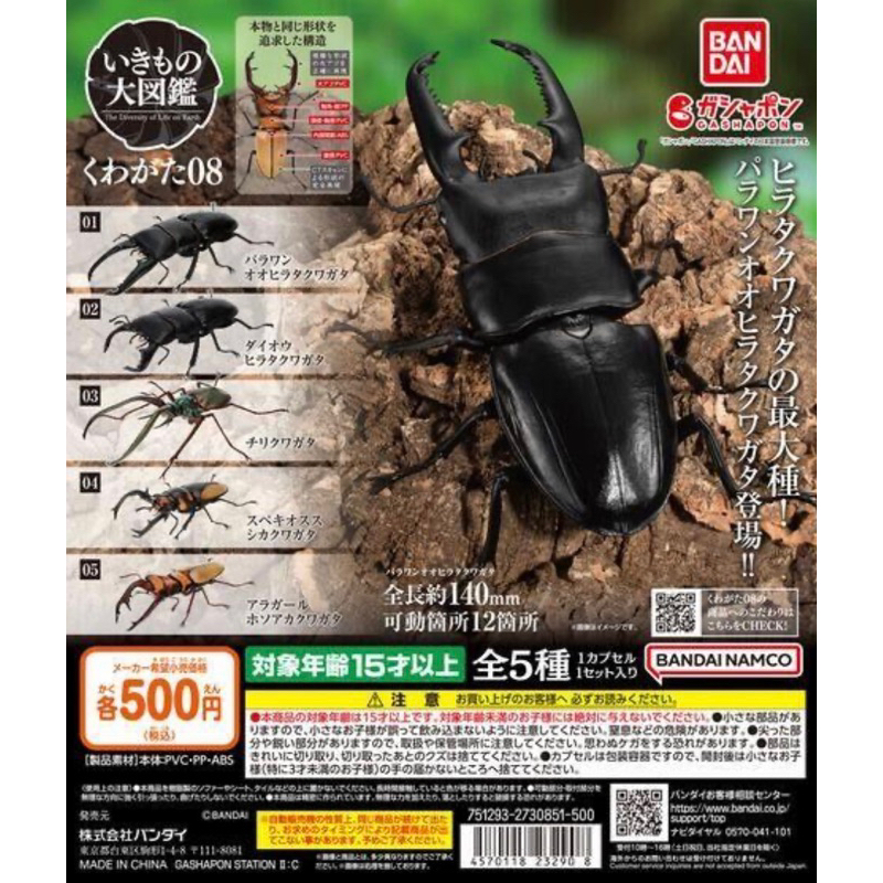 全新現貨Bandai生物大圖鑑鍬形蟲0 4-08扭蛋