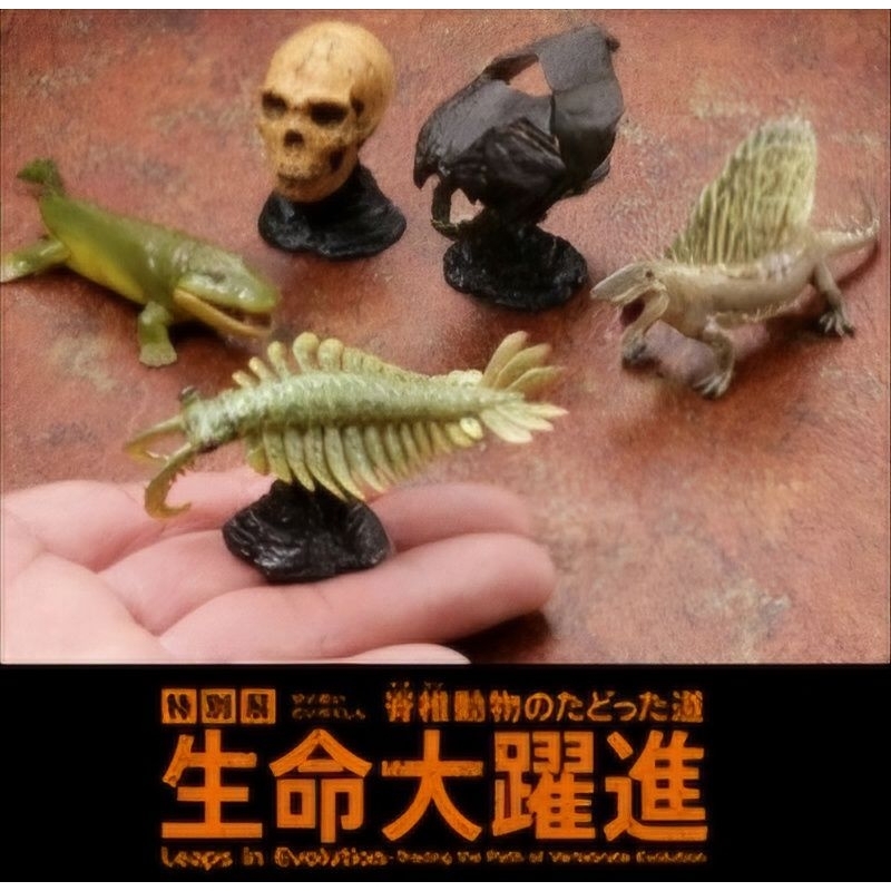 海洋堂 扭蛋Q博物館 古生代 古生物 生命大躍進 會場限定 恐魚  鄧氏魚 盾皮魚 扭蛋 轉蛋 公仔 模型