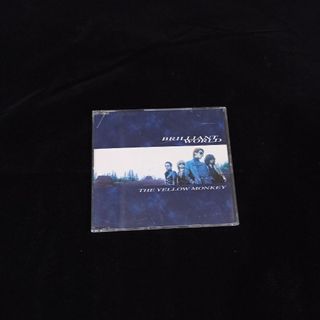 二手 CD THE YELLOW MONKEY BRILLIANT WORLD 日版 單曲 C箱