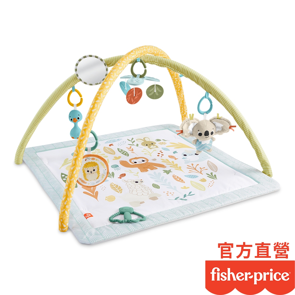 Fisher-Price 費雪 基礎感官訓練健身器/健力架 免運