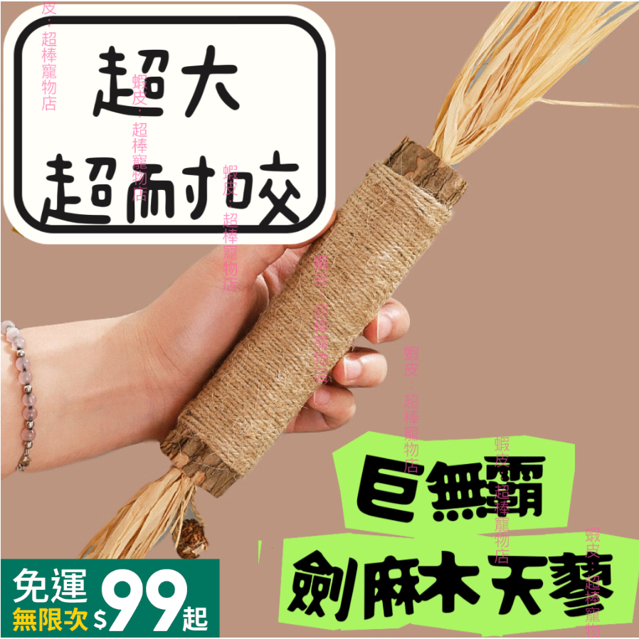 平日當日出貨🔥💗貓咪木天蓼 木天蓼 貓咪磨牙棒 天然草本 貓玩具 木天蓼磨牙棒 蟲癭果 貓磨牙 貓咪自嗨玩具