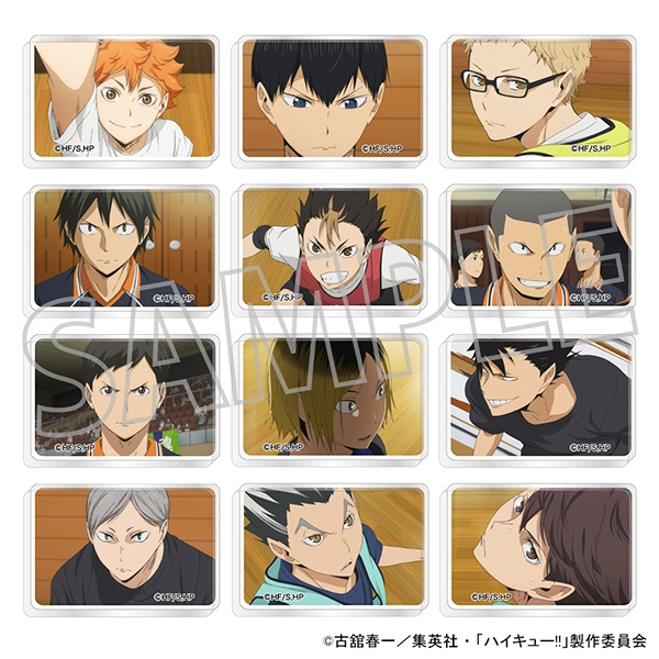 8/6更 日版現貨 排球少年 迷你壓克力磚 菅原 日向 西谷夕 月島螢 影山 孤爪 黑尾 及川撤 澤村大地 山口忠