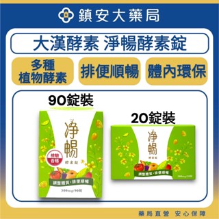 大漢酵素 淨暢酵素錠 20錠 / 90錠 蔬果酵素 望江南取物 含螺旋藻 綠藻 膳食纖維 鎮安中西安和藥局