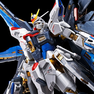 【兒童節特價】PB限定 鈦合金成形色 RG 1/144 STRIKE FREEDOM GUNDAM 攻擊自由鋼彈