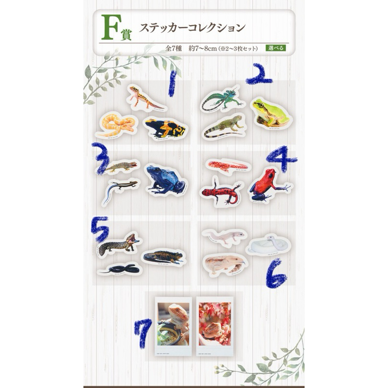 一番賞 爬蟲類 兩棲類 F賞 貼紙 現貨 Tiny Friends