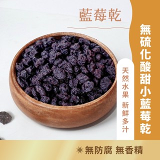 日初良食｜精選果乾系列 野生小藍莓乾（180g/包） 藍莓乾 無色素 低糖 無硫化 花青素 休閒零食 天然果乾 莓果
