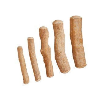 【德國CANOPHERA】啃咬玩具 咖啡木咬咬棒 磨牙玩具 耐咬棒 咬咬木 狗狗啃咬 耐咬木頭 狗玩具