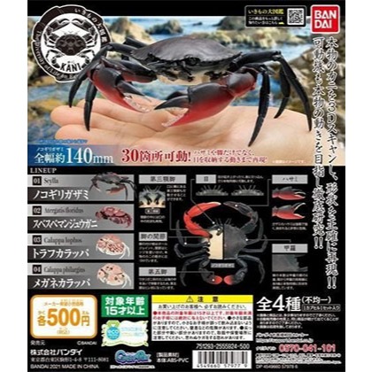 🎃Jaleny728🎃 BANDAI 可動 螃蟹環保扭蛋 轉蛋 現貨 鋸緣青蟹/花紋愛潔蟹/饅頭蟹/逍遙饅頭蟹 單賣