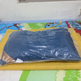 全新科技羽絲絨枕（72x46cm)