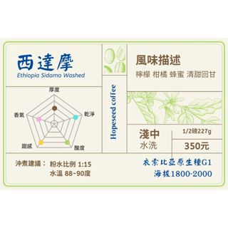＜希望種子咖啡＞衣索比亞 西達摩 水洗(耳掛包，淺中焙) 自家烘焙 精品咖啡