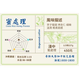 ＜希望種子咖啡＞哥斯大黎加 蜜處理(耳掛包，淺中焙) 自家烘焙 精品咖啡