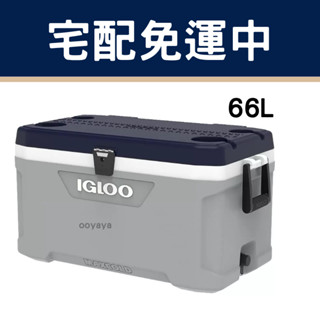 『宅配免運！』Igloo 66公升 MaxCold 冰桶