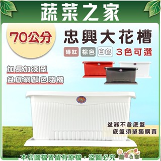 【蔬菜之家滿額免運】忠興70公分大花槽(加長加深型)3色可選(可加購水盤) 大花盆 花箱 別墅花盆 庭院專用花盆 花園陽