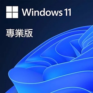 微軟 Microsoft Windows 11 Pro 專業下載版