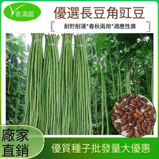 （買五送一）長豆角種子 蔬菜種子 包裝豆角種子大全 四季種植特長豆角摘不敗豇豆種子春秋庭院田園易種蔬菜綠條四季豆種籽