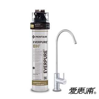 【愛惠浦公司貨】抑垢長效型淨水器QL3-BH2【搭載NSF認證鵝頭】【送全省安裝】