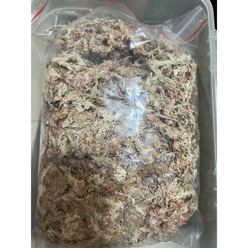 水苔 智利水苔 七星水苔 五星水苔 水草 甲蟲水苔 水苔 獨角仙 鍬形蟲 甲蟲 昆蟲 雜質少