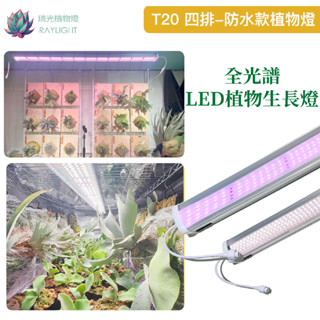 [瑞光植物燈]全光譜Pro T20-四排防水款多肉 塊根 觀葉 鹿角蕨 上色防徒