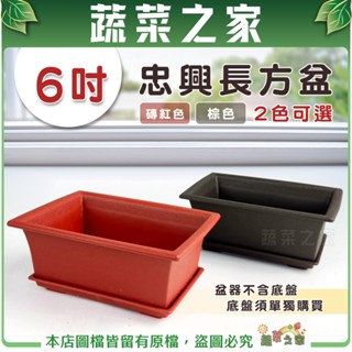 【蔬菜之家滿額免運】忠興6吋長方盆 磚紅色、棕色 (可加購水盤) 盆器 多肉盆 種植盆 長形盆 花盆