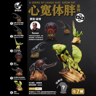 動物星球 心寬體胖 動物星雲 臺灣代理 正版公司貨 現貨 第7彈 大兜蟲 獨角仙 螳螂 蝗蟲 非 亞達伯拉象龜 昆蟲模型