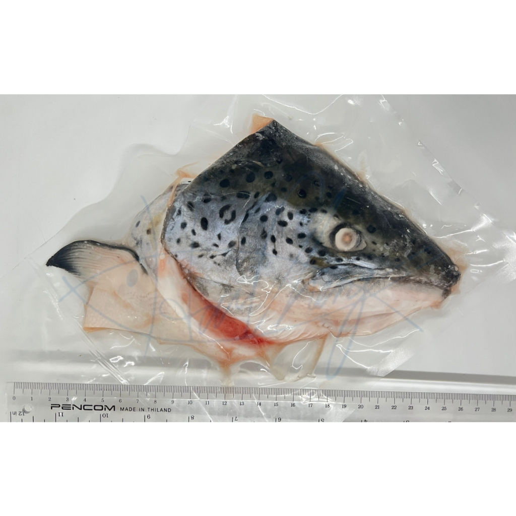 鮭魚頭 350~400克/片💳可刷卡 🎀玥來玥好吃🎀海誠水產