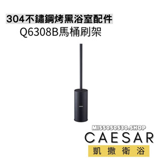 Caesar 凱撒衛浴 Q6308B 烤漆黑 不鏽鋼 304不鏽鋼 馬桶刷架 馬桶刷 浴室配件