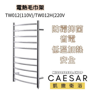 Caesar 凱撒衛浴 電熱毛巾架 毛巾架 TW012 TW012H 不鏽鋼毛巾架 乾燥毛巾架
