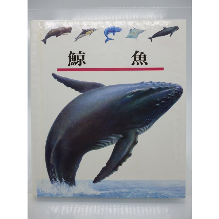 【月界二手書店2S】鯨魚－第一個發現系列23．精裝本（絕版）_理科出版社　〖少年童書〗CEB
