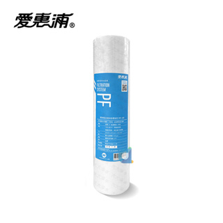 台灣愛惠浦EVERPURE PF-105 10英吋標準型前置五微米PP濾心 PF105 大大淨水