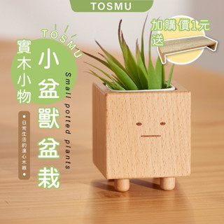 [臺灣設計 快速出貨]盆栽小 盆獸盆栽 交換禮物 生日禮物 童心木 TOSMU 造型花器 方形盆器 花盆 室內小盆栽