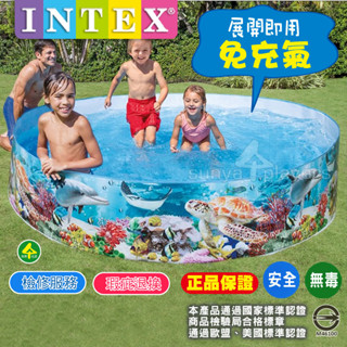 商檢合格【INTEX原廠正品㊣ 戲水池 游泳池 球池🔹免充氣🔹開即用快速方便】硬膠水池(森野玩家) 玩水 遊戲池 儲水池