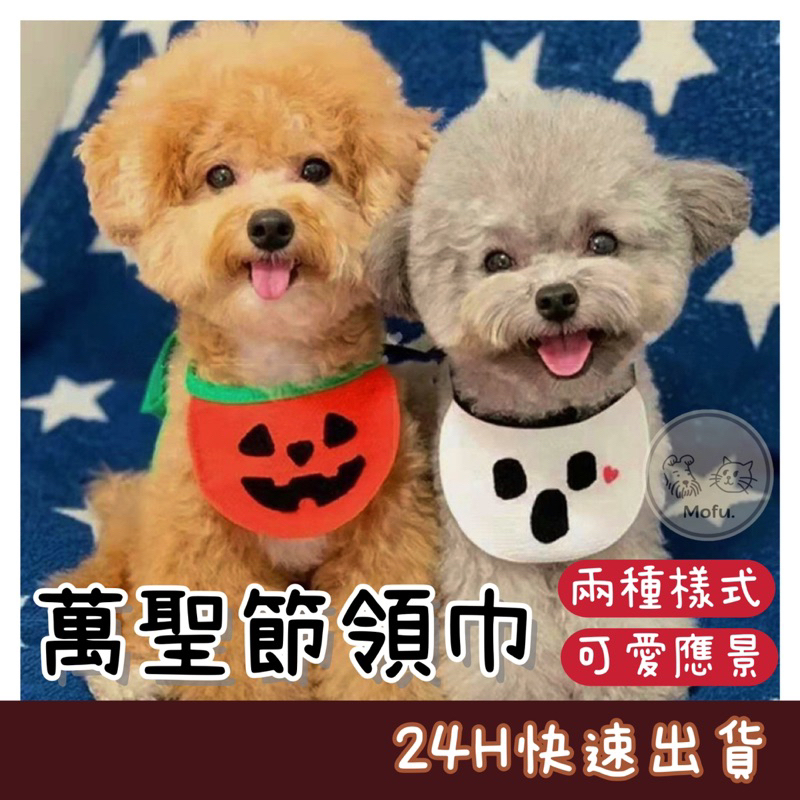 MOFU🐱 寵物萬聖節領巾 萬聖節領巾 貓萬聖節 狗萬聖節 寵物領巾 貓領巾 狗領巾 鴨領巾 柯爾鴨領巾 寵物萬聖節