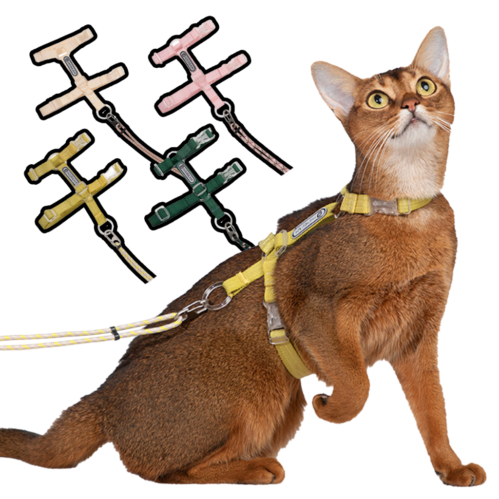 HIDREAM 啵啵系列 自由探索貓咪牽繩胸背帶組 寵物胸背帶 貓咪胸背帶 4色 - 艾爾發寵物 Alphapetstw