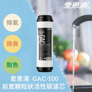 愛惠浦 EVERPURE GAC-100 顆粒狀活性碳濾芯 前置濾芯