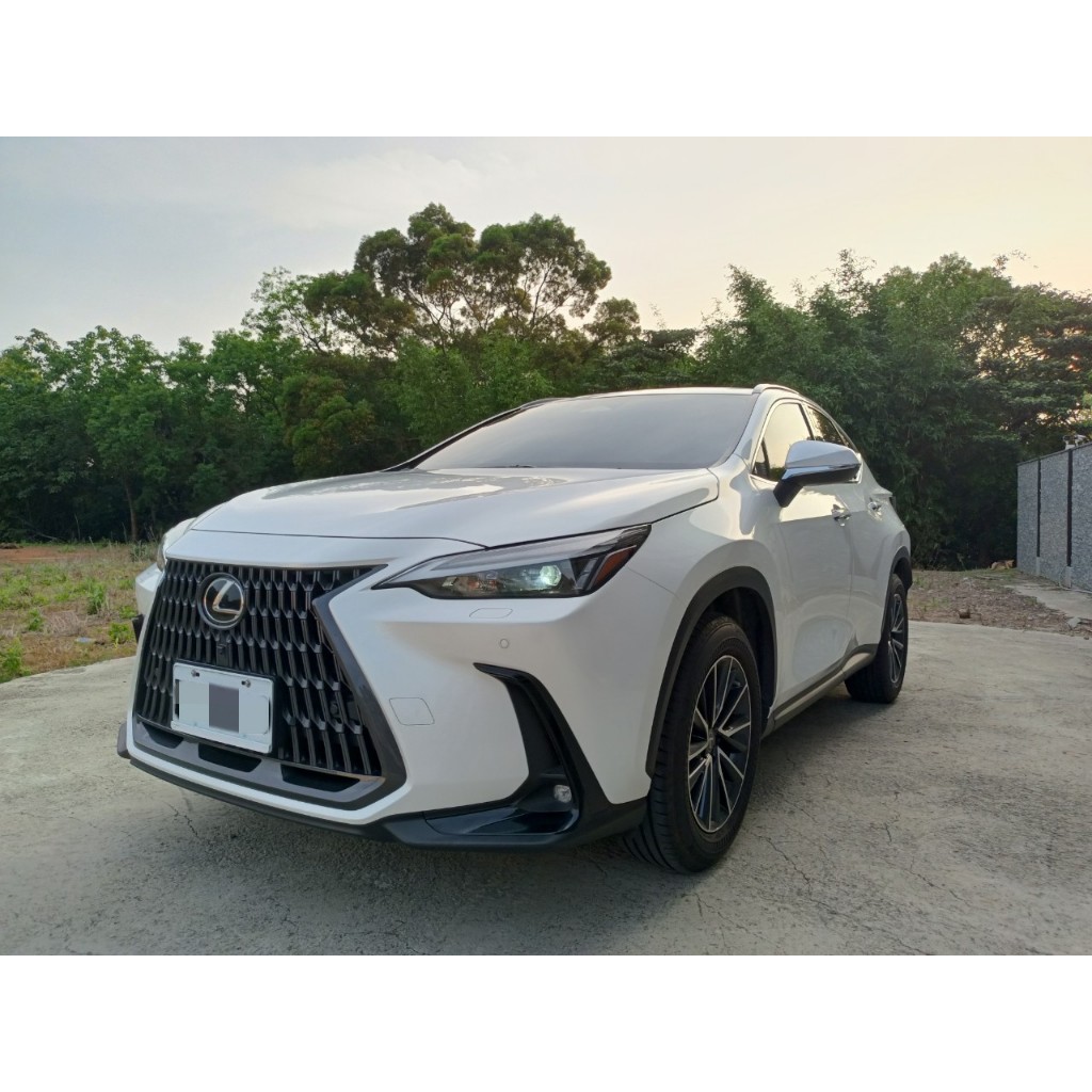 2022 Lexus NX200 豪華版 自動跟車 電動尾門 一手自用 原廠保養保固 認證中古車