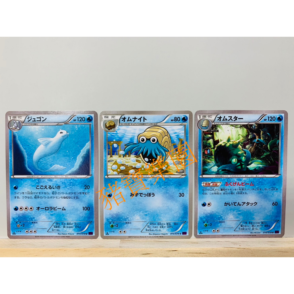 【豬寶樂園】PTCG 日版 絕版 XY 寶可夢卡牌 神奇寶貝卡 白海獅 菊石獸 多刺菊石獸 寶可夢中心 卡牌 桌遊 水