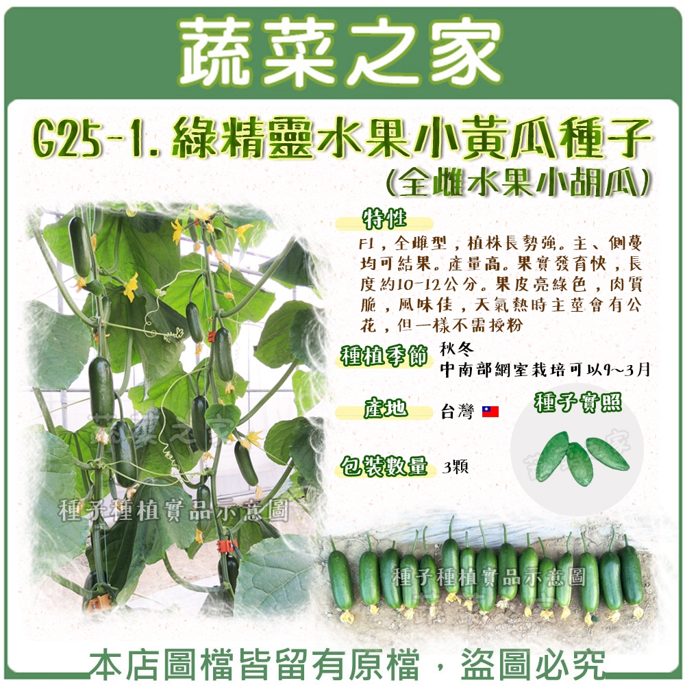 【蔬菜之家滿額免運】G25-1.綠精靈水果小黃瓜種子3顆(有藥劑處理)(全雌水果小胡瓜)//F1，全雌型，植株長勢強。