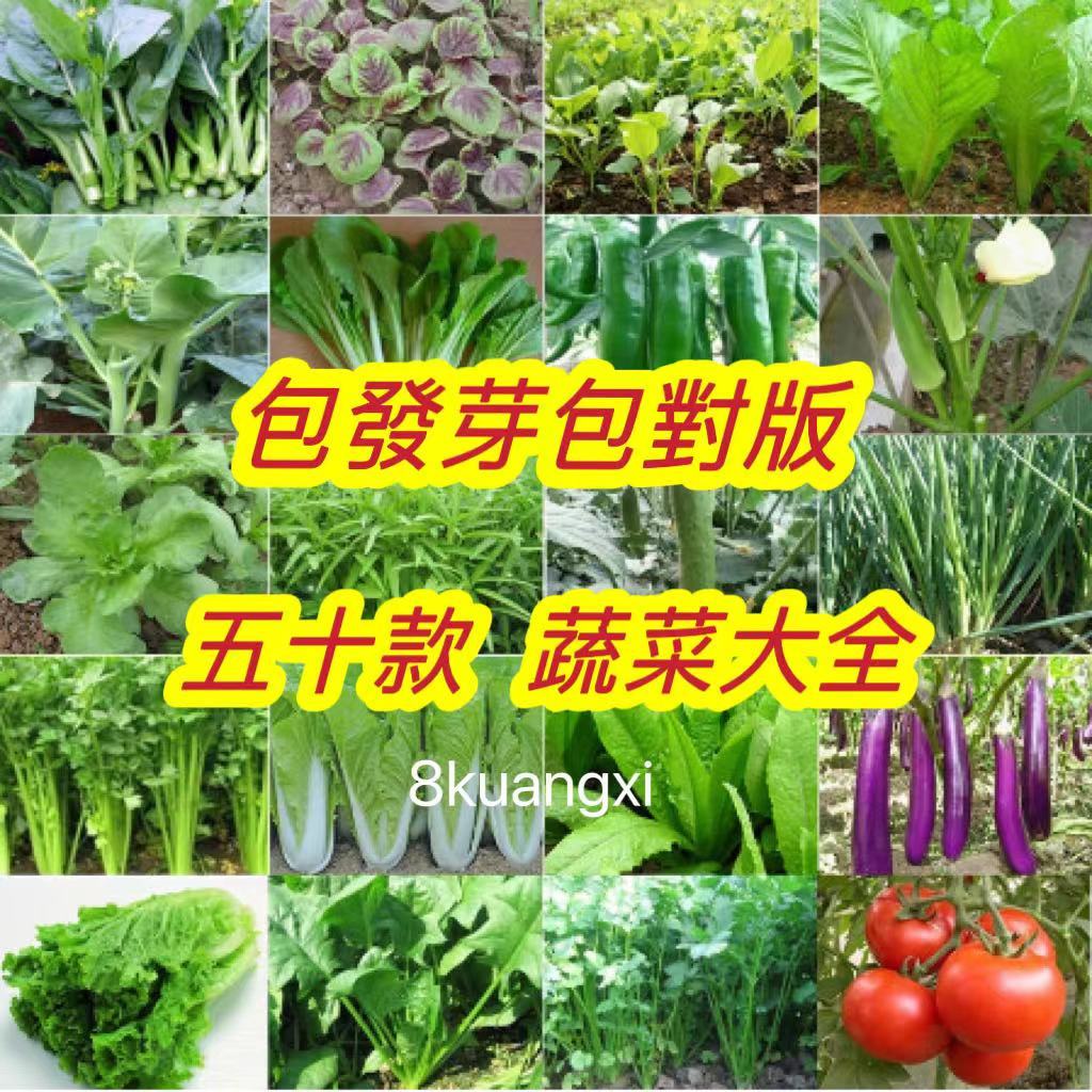 ✨超多款蔬菜種子 蔬菜種籽大全 蔬菜種孑 多款菜種子 上海青 四季小白菜 小米椒 番茄 陽台庭院室內外種植 發芽率高✨