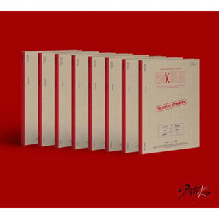 Stray Kids Maxident case ver