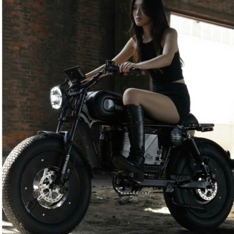 全人類購物-🈶閃標⚡️全台唯一代理 現車 最新款warriors 1500w 電動自行車 黑武士 電動輔助自行車 腳踏