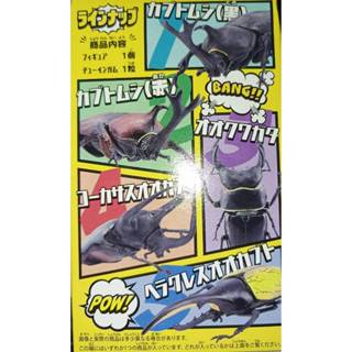 F-toys 代理正版 昆蟲獵人 甲蟲 x 鍬形蟲 盒玩